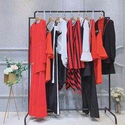 lily品牌女裝上市了嗎中老年新款女裝棉服批發(fā)中老年運(yùn)動裝新款女裝6