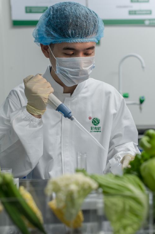 福建彩食鮮獲評(píng)2022年全國(guó)供應(yīng)鏈創(chuàng)新與示范企業(yè) 打造供應(yīng)鏈標(biāo)桿，賦能餐飲配送服務(wù)